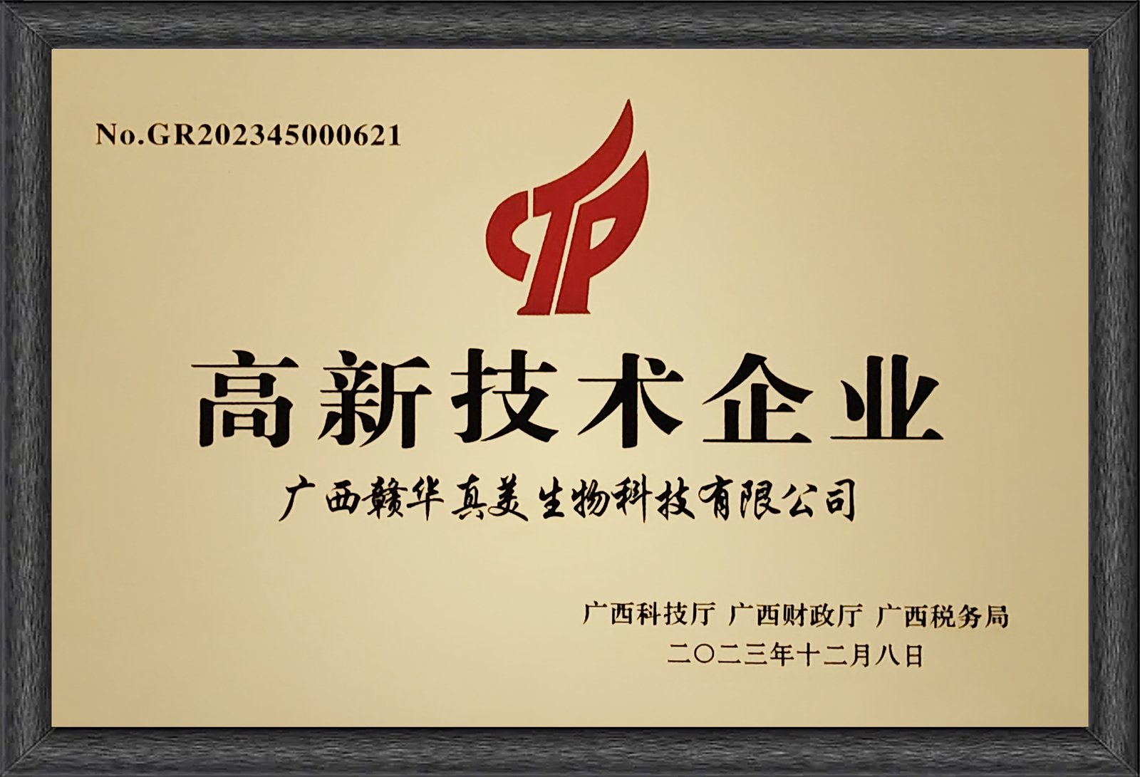 高新技术企业